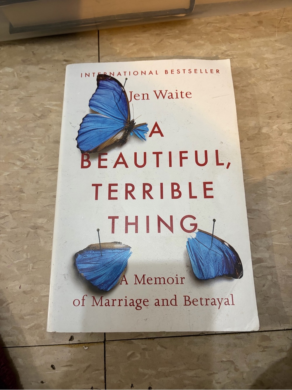 A Beautiful, Terrible Thing - Blue Cover (Unknown Brand)
